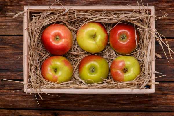 افزایش نرخ سیب جعبه ای موجب اعتراضات شدیدی در آلمان شده است
